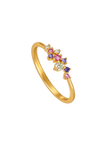 VIENNA RING