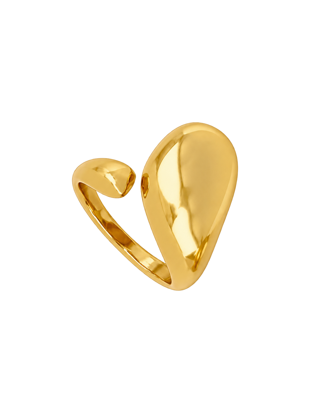 ANILLO NAIA