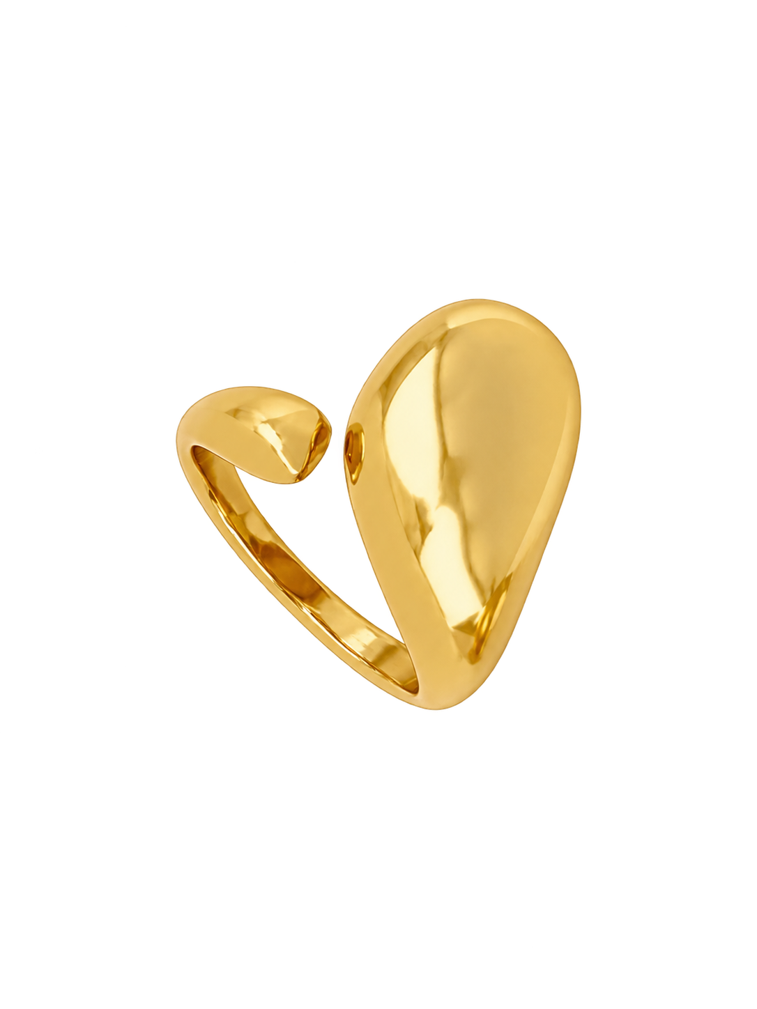 ANILLO NAIA
