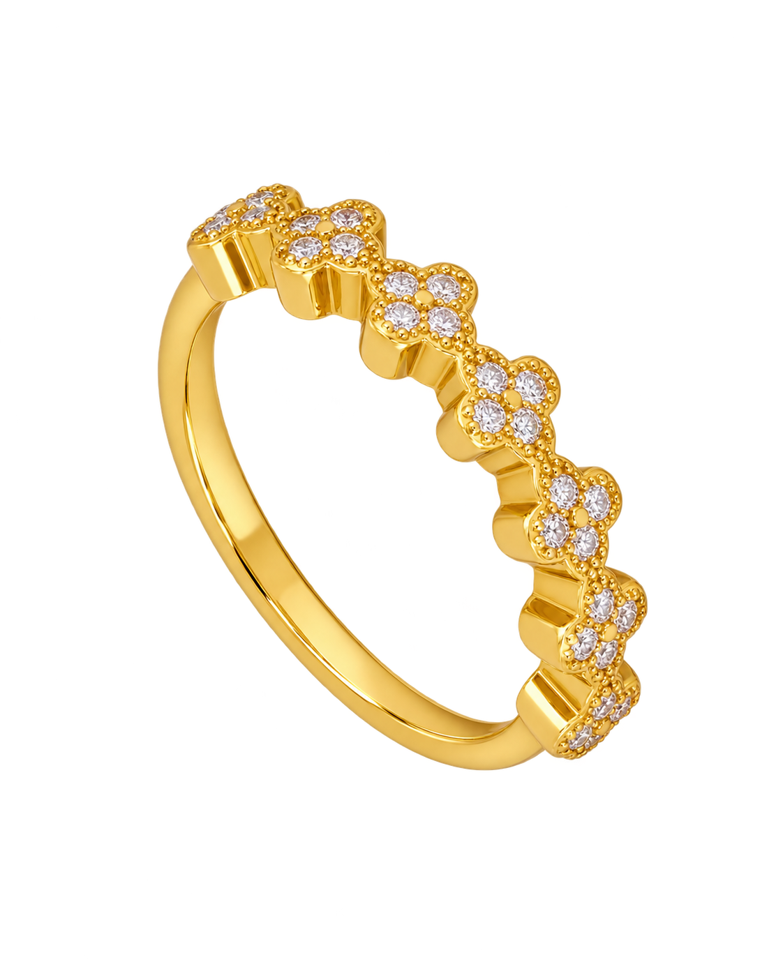 ANILLO LEONIE
