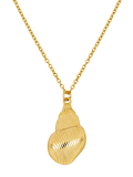 SEASHELL NECKLACE