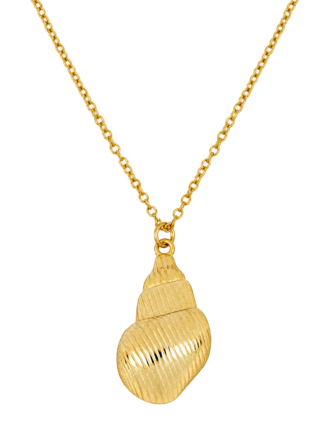 SEASHELL NECKLACE
