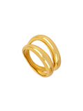 ANILLO MINDI