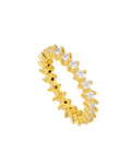 ANILLO OSMA