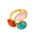 ANILLO LIANA