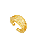 ANILLO ARYA