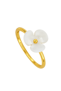 ANILLO LIBERTY