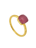 ANILLO ELYSIA
