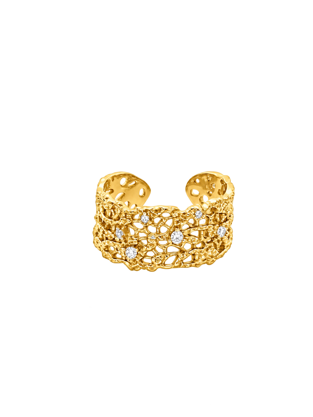ANILLO VELI