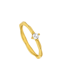 ANILLO HILARY
