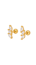 PIERCING VERONA