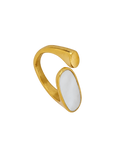 ANILLO ORIANE