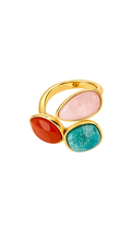 ANILLO LIANA