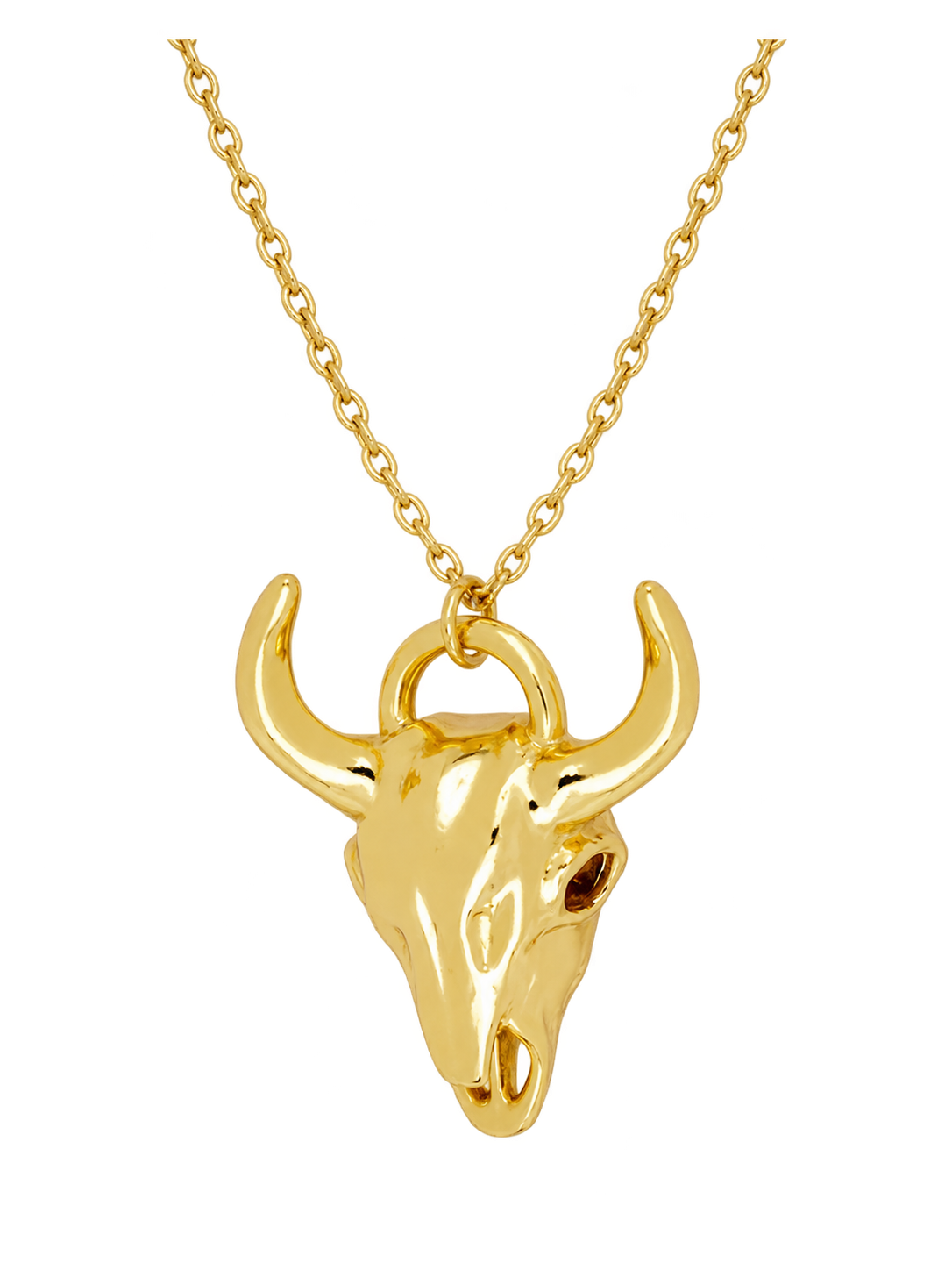 BUFFALO NECKLACE