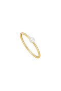 ANILLO LIU