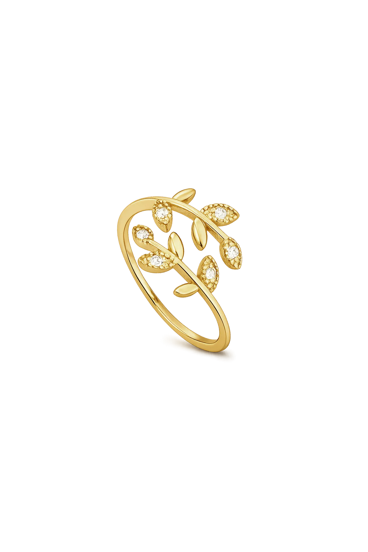 ANILLO BOSTON