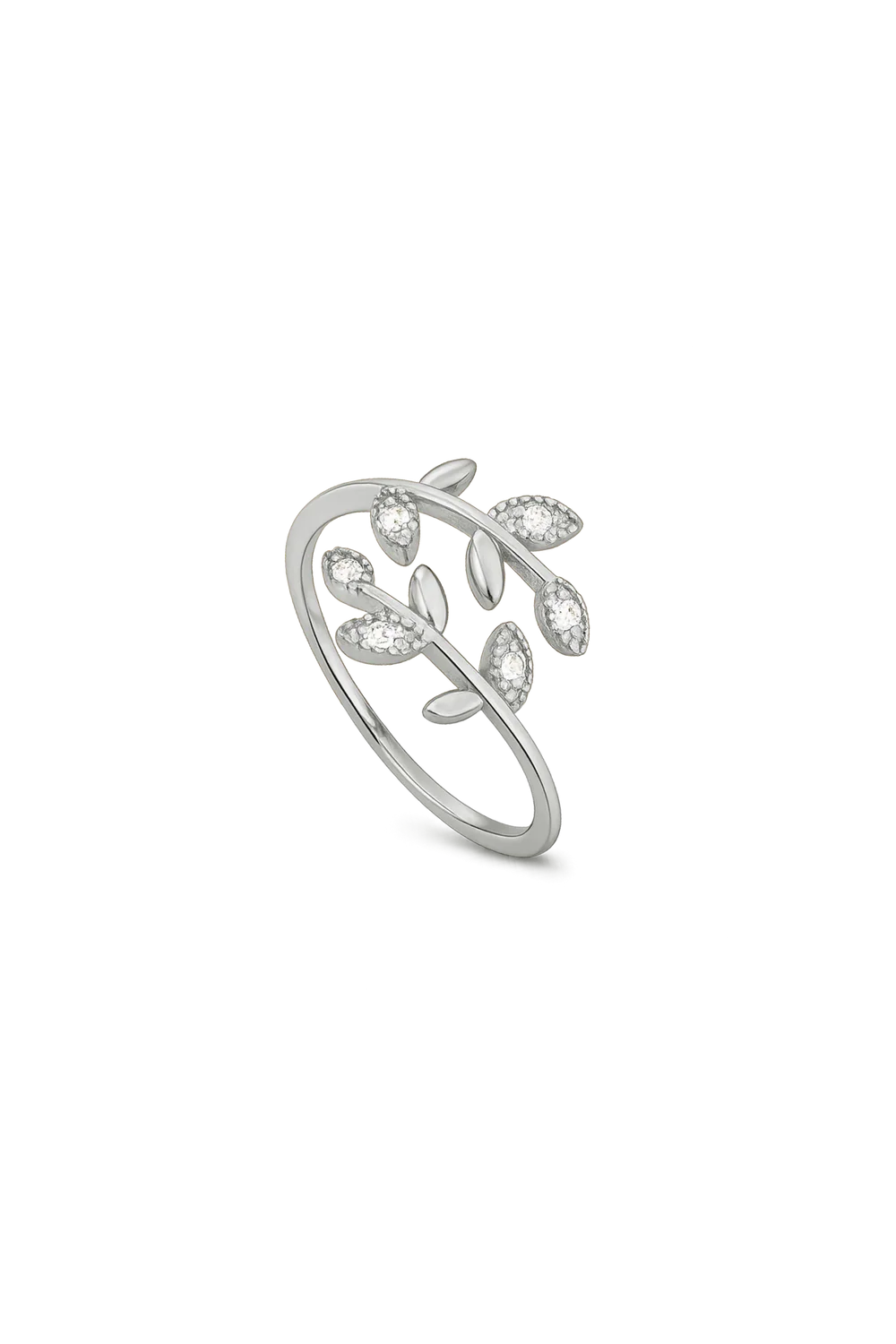 ANILLO BOSTON