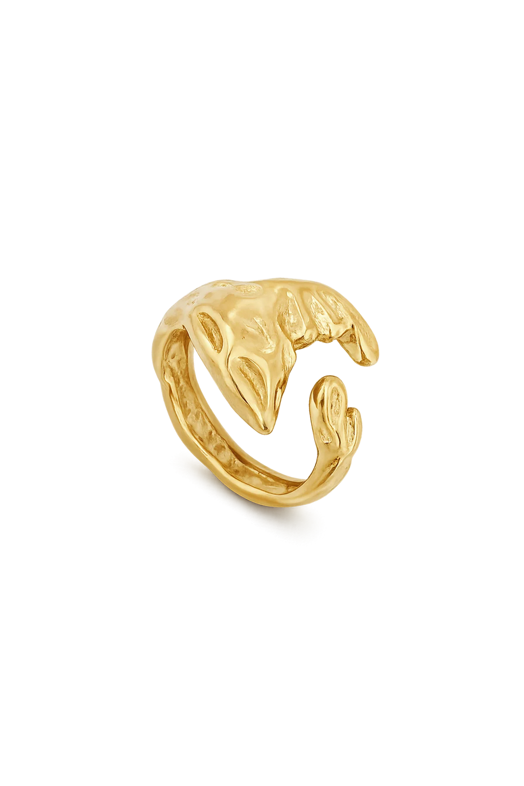 ANILLO DICA