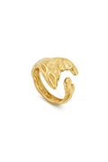 ANILLO DICA
