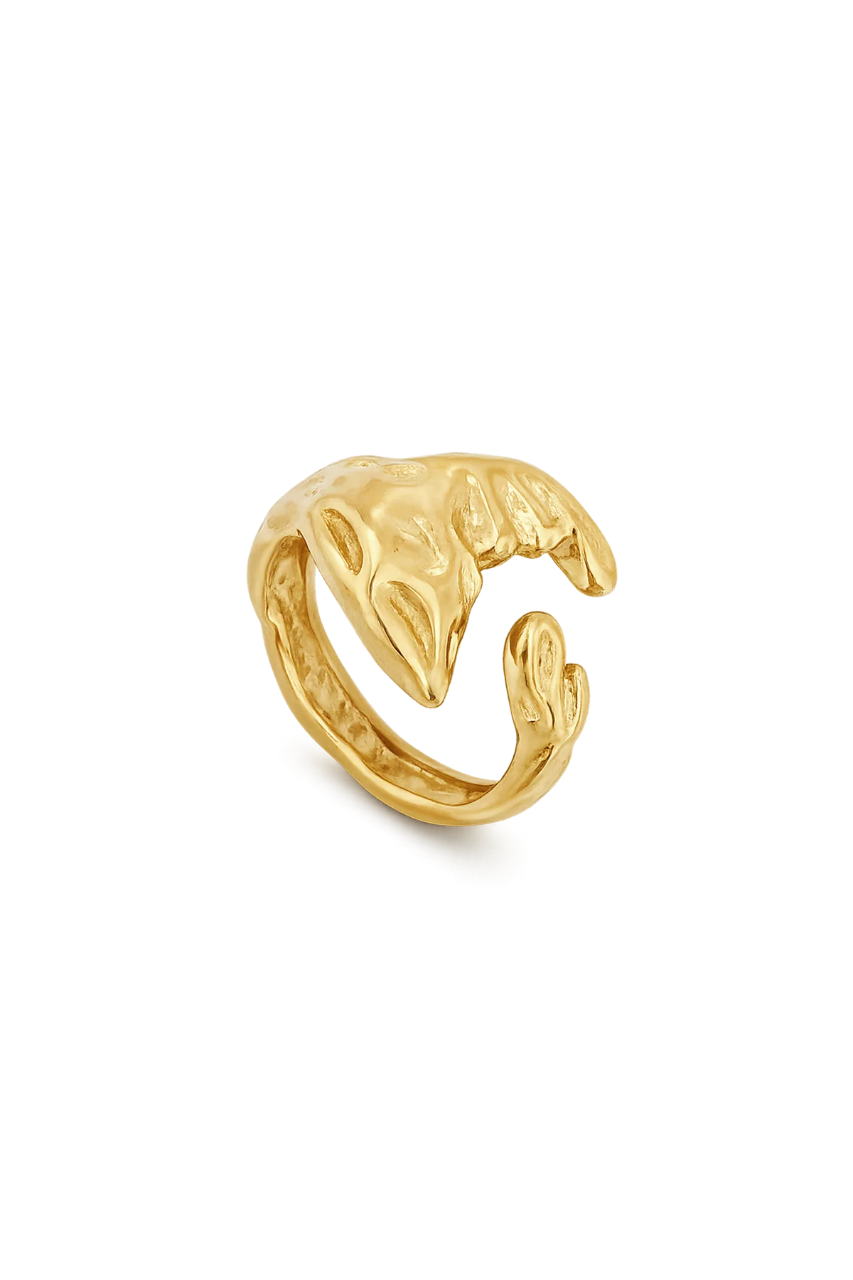 ANILLO DICA