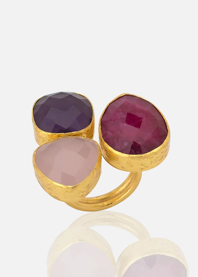 ANILLO DOMITIA