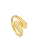 ANILLO ALLEGRA