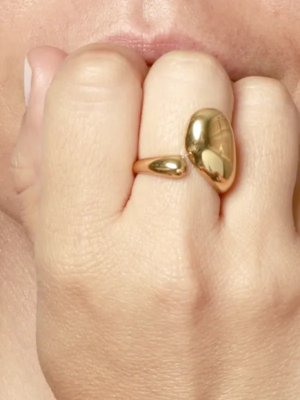 ANILLO NAIA