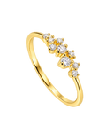 ANILLO AMARIS