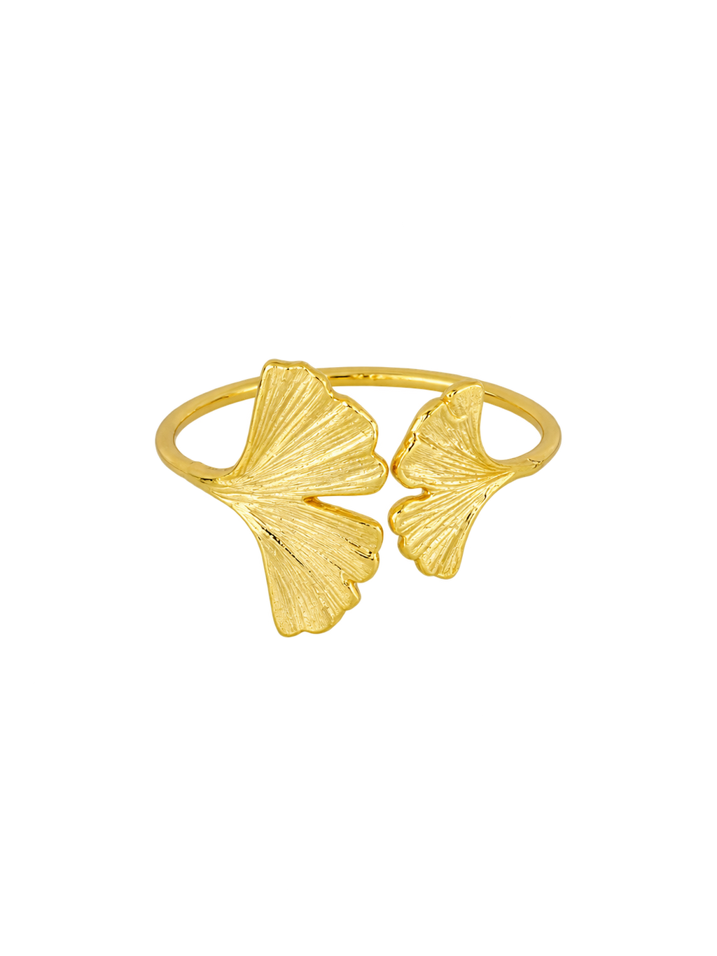 ANILLO MARA
