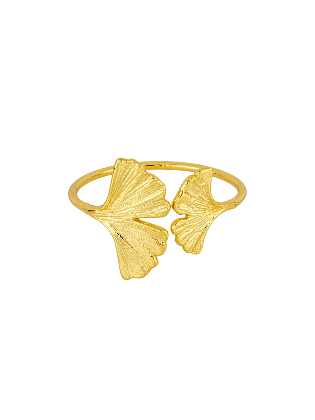 ANILLO MARA