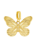 ARUBA CHARM