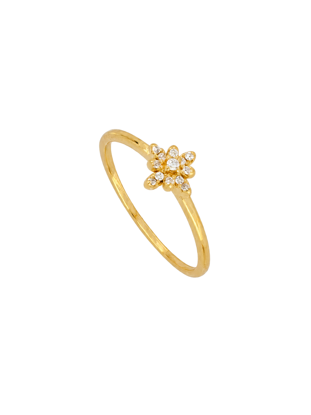 ANILLO LAUDE