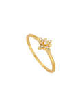ANILLO LAUDE