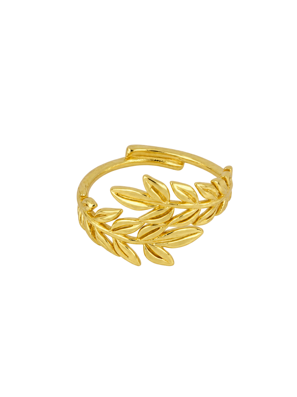 ANILLO REGINA