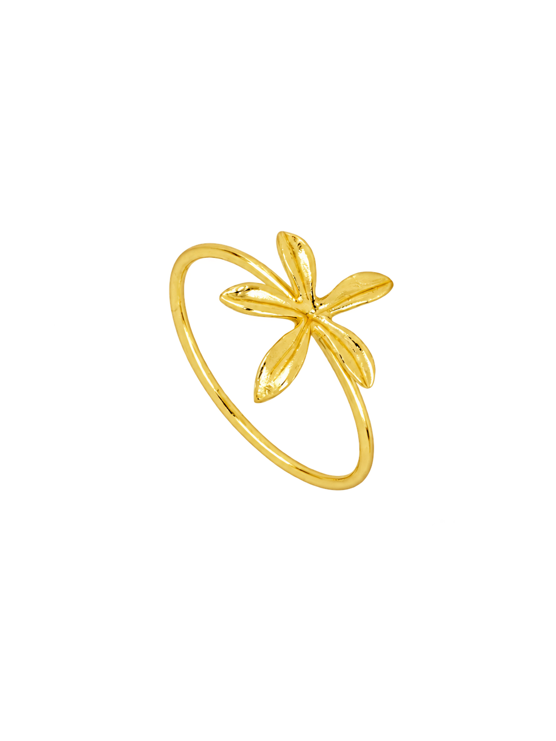 ANILLO HENAR